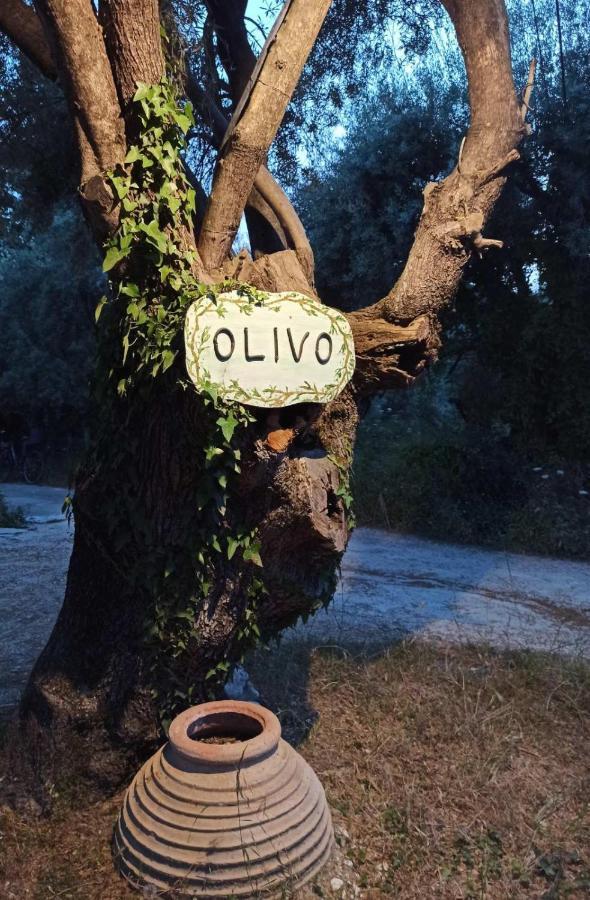 Olivo Nydri Apartman Kültér fotó