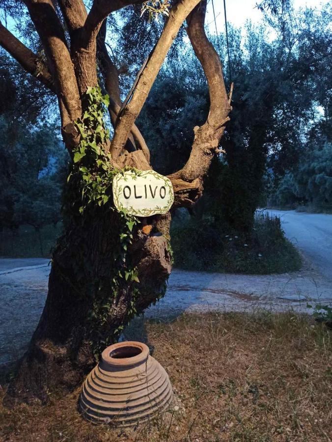 Olivo Nydri Apartman Kültér fotó