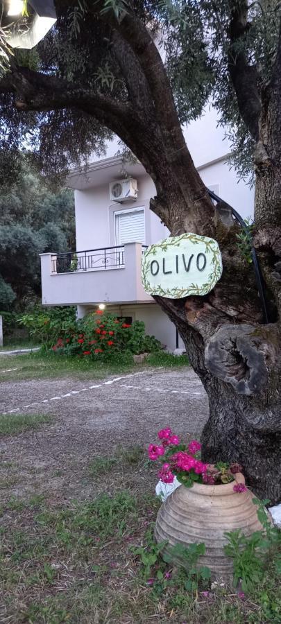 Olivo Nydri Apartman Kültér fotó